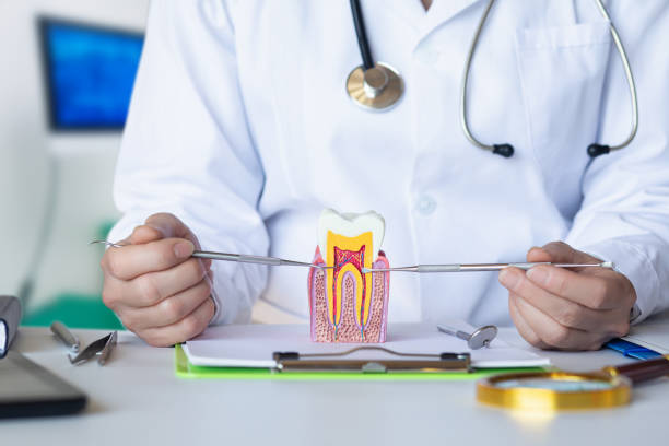 Best Emergency Gum Treatment in Wake Village, TX